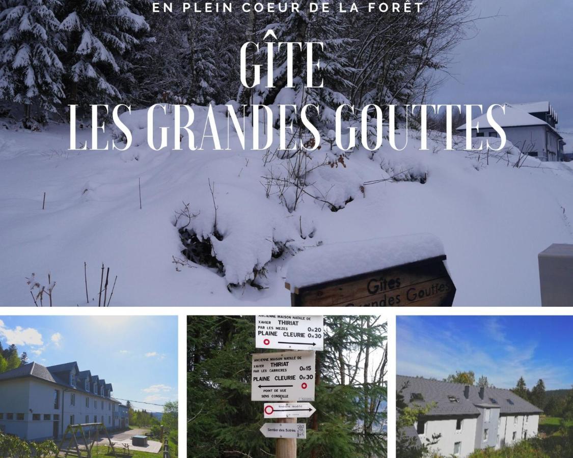 Gites Les Grandes Gouttes Le Syndicat Exterior photo